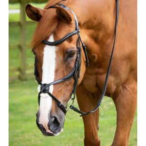 8016-p-8016-xf-snaffle-bridle-premier-equine-glorioso-black