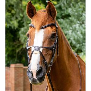 8016-p-8016-xf-snaffle-bridle-premier-equine-glorioso-dark-brown