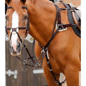 8037-c-8037-f-hunting-collar-for-horse-5-points-premier-equine-invorio-dark-brown