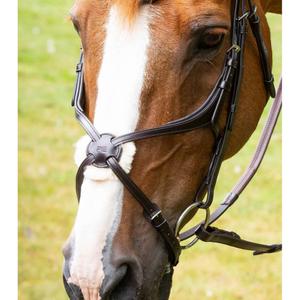 8100pbrw-crossed-noseband-premier-equine-glorioso-mexican-brown