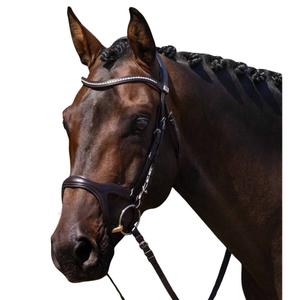8127cbrw-riding-bridle-premier-equine-san-paolo-brown