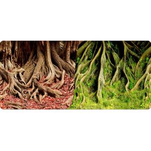 rp877830-poster-2-faces-1-roll-of-15-meters-height-40-reptiles-planet-amazonian-tree-roots-red-green-15-m