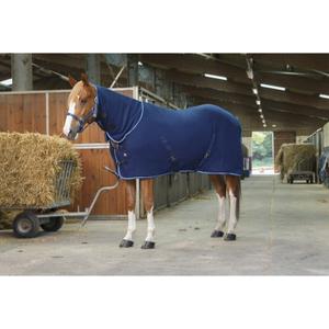 4006387-rug-riding-world-combo-navy-blue
