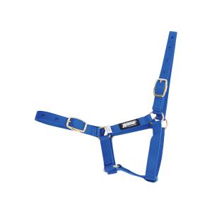 463450-halter-for-foal-roma-foal-blue-foal