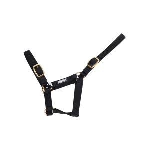 593294-halter-for-foal-roma-foal-black-foal