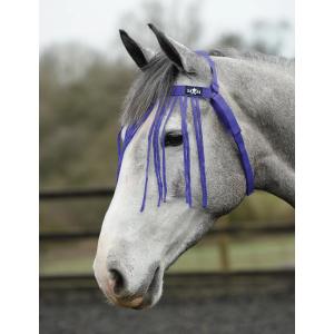 819127-halter-for-horse-saxon-fly-fringe-purple