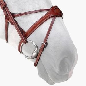 n02c-horse-cheek-pieces-silver-crown-spider-conker-full