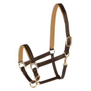 50436130-vb-halter-for-horse-star-diamond-brown