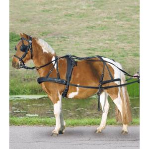 901010-sh-complete-harness-for-pony-and-shetland-star-black-pony-shetland