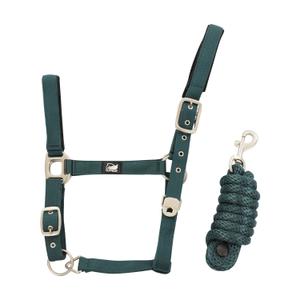 ca00039a-lime-nylon-halter-and-braided-lead-rope-set-for-horse-supreme-lime