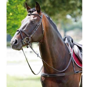 1188099-10-elastic-horse-hunting-collar-with-removable-neck-tattini-black