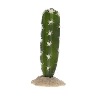 243-482735-cylindrical-cactus-terrarium-decoration-terra-della-green