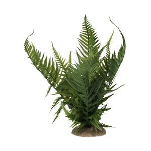 243-482773-decorative-object-fern-terra-della-green