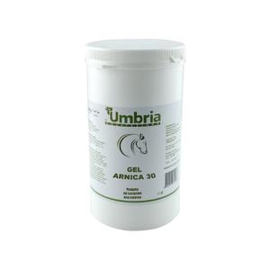 product/u/m/umbria-equitazione_pu00855_blanc_1.jpg