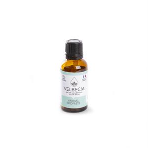3004563-flower-care-for-dogs-velbecia-bach-black-30-ml