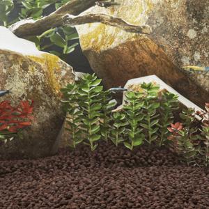 155310-substrate-vidaxl-volcanic-5-8-mm-red-one-size