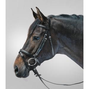 68047001-vb-combined-noseband-bridle-star-lifestyle-black-black