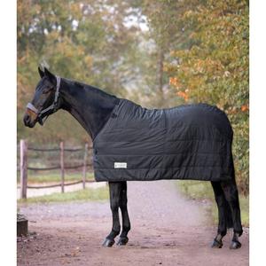 8030701-115-horse-under-blanket-waldhausen-black