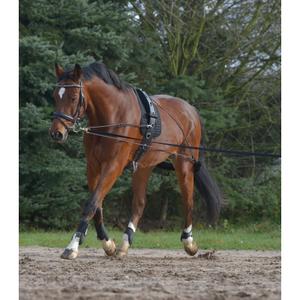 8104701-2-lunge-system-waldhausen-black
