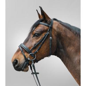 81357001-vb-combined-noseband-bridle-star-diamond-black