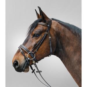 81357030-vb-combined-noseband-bridle-star-diamond-brown-gold