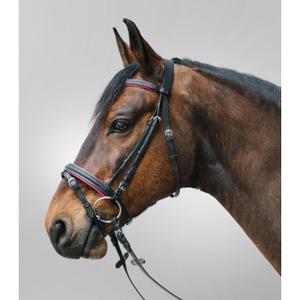 81357054-vb-combined-noseband-bridle-star-diamond-fuchsia