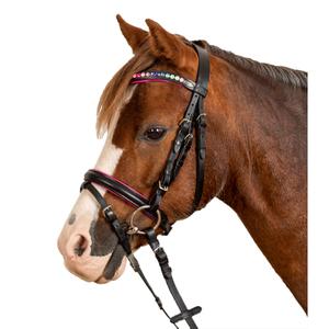 8142501-msh-combined-noseband-bridle-star-pinky-black