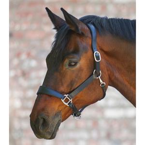 product/w/a/waldhausen_9575101_3.jpg