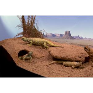 387536-substrate-zoomed-excavator-xr10-green-4-5-kg