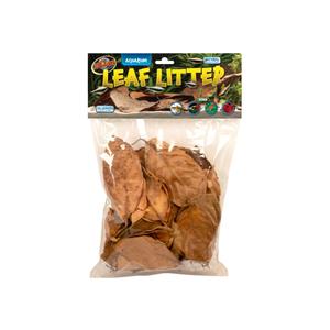 388302-jackfruit-leaf-for-terrarium-zoomed-brown-43-2x25-4x7-6-cm